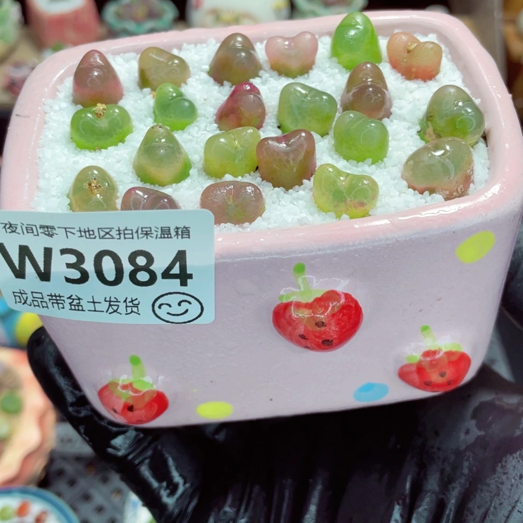 夜间零下地区拍保温箱w3084