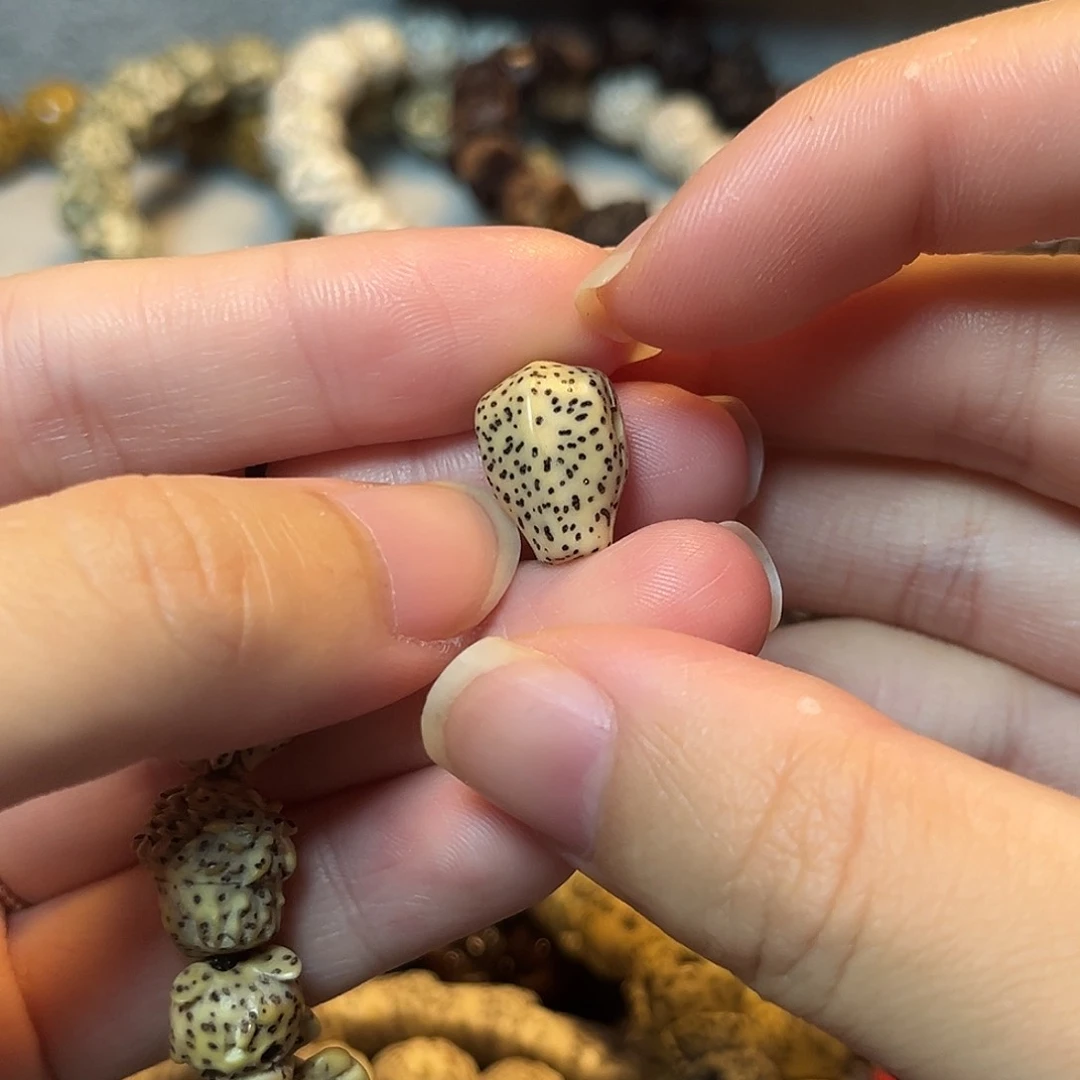 星月菩提吊坠鲨鱼背原生态