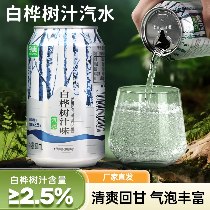 网红高颜值饮料白桦树汁味碳酸饮料320ml*8罐宿舍饮品汽水饮料