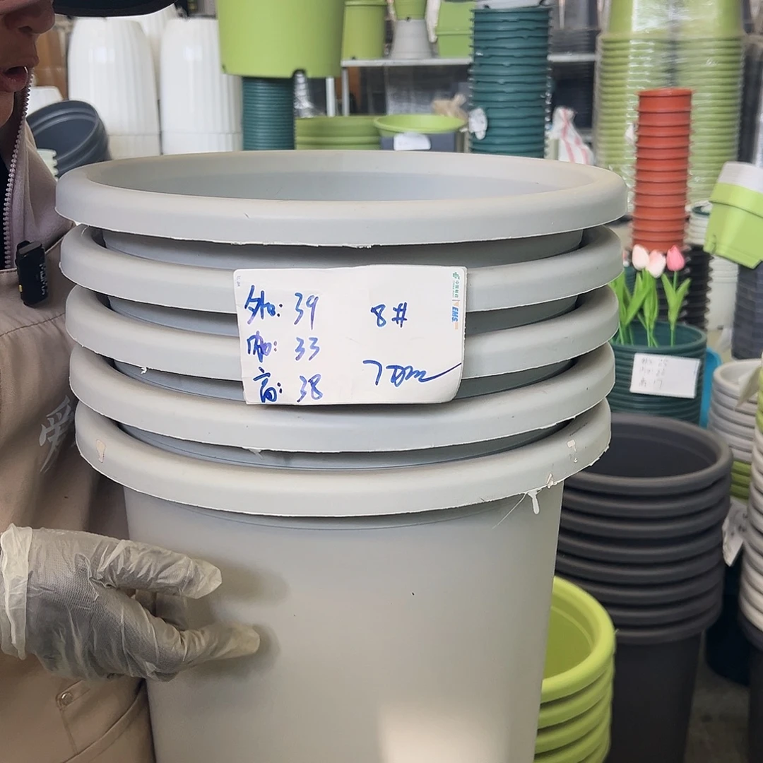 四季盆8#灰白色5个无托