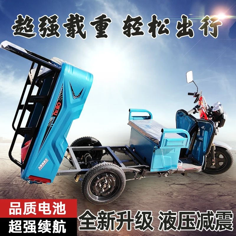 电动三轮车成人小型老人迷你接送孩子货车拉货老年代步车三轮新款