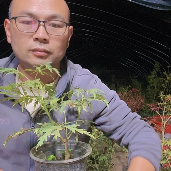 完全开放不能自已啊这不是什么