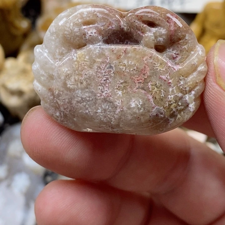 颈饰未镶嵌硅化珊瑚（珊瑚玉）小