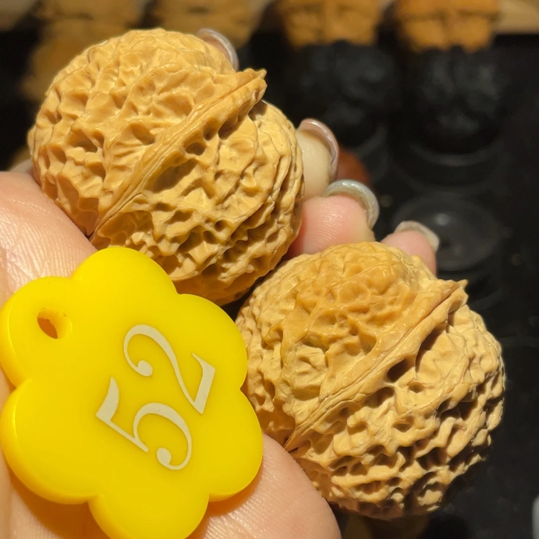 珊瑚元宝38尺寸核桃