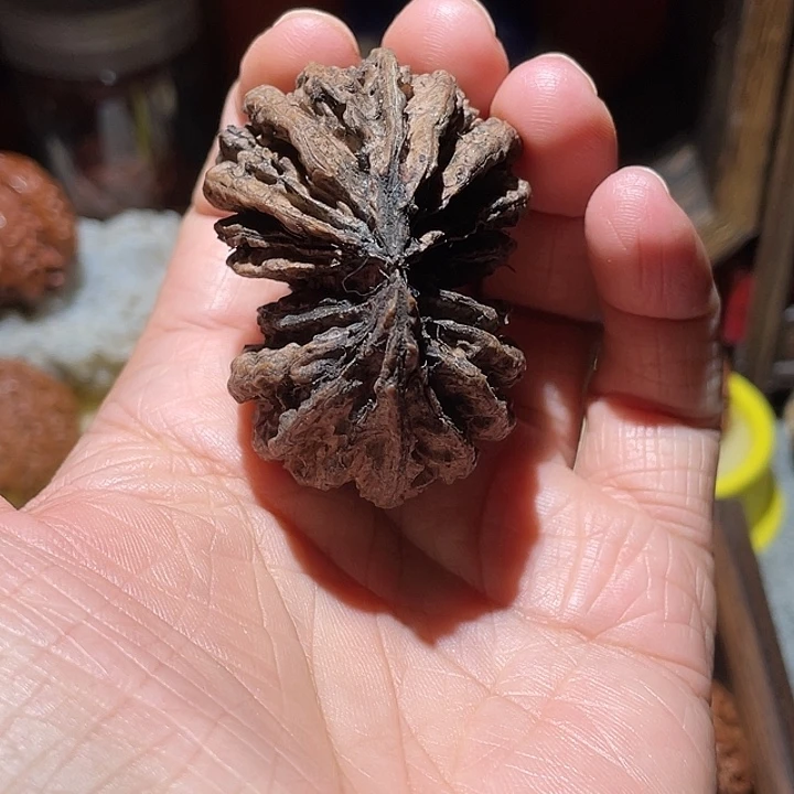峰***泊抖音直播间核桃连体