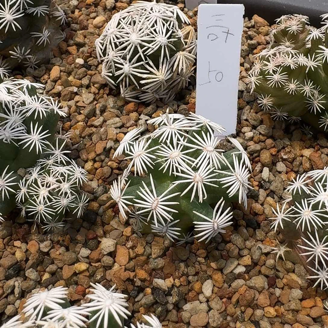 三*花花花花花花花花花