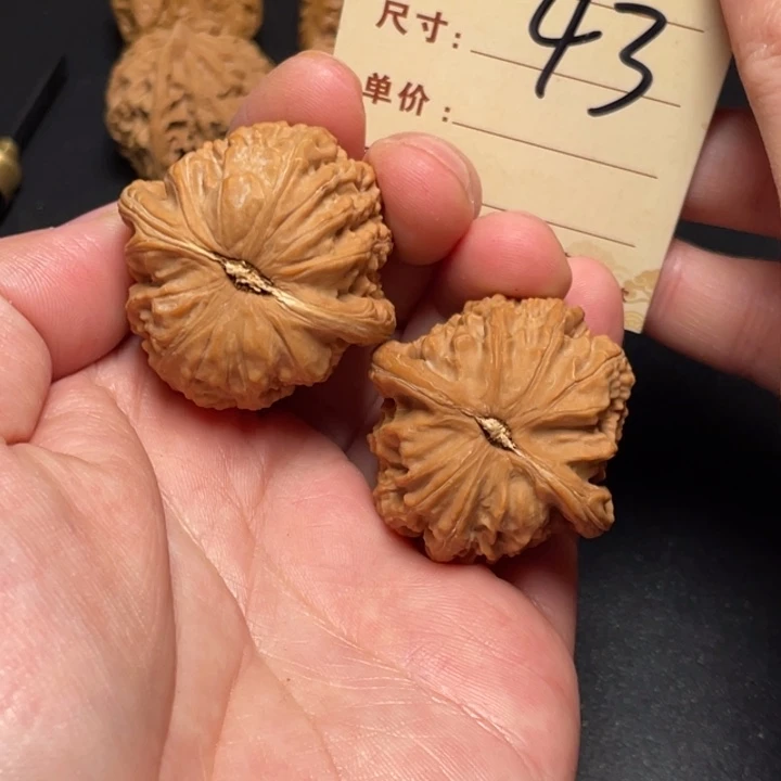 文玩核桃把件白狮子38尺全品白茬43