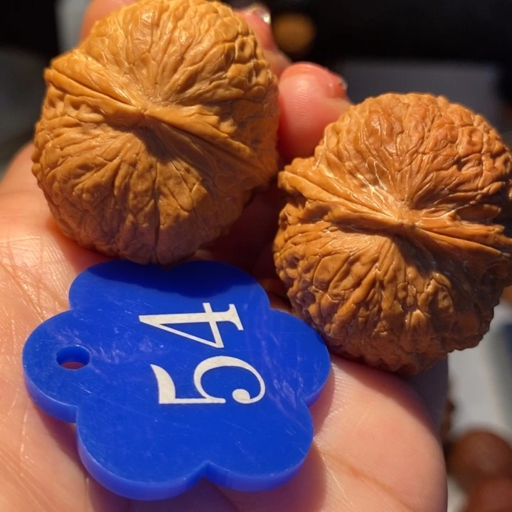 2号链接七彩绣球36尺寸