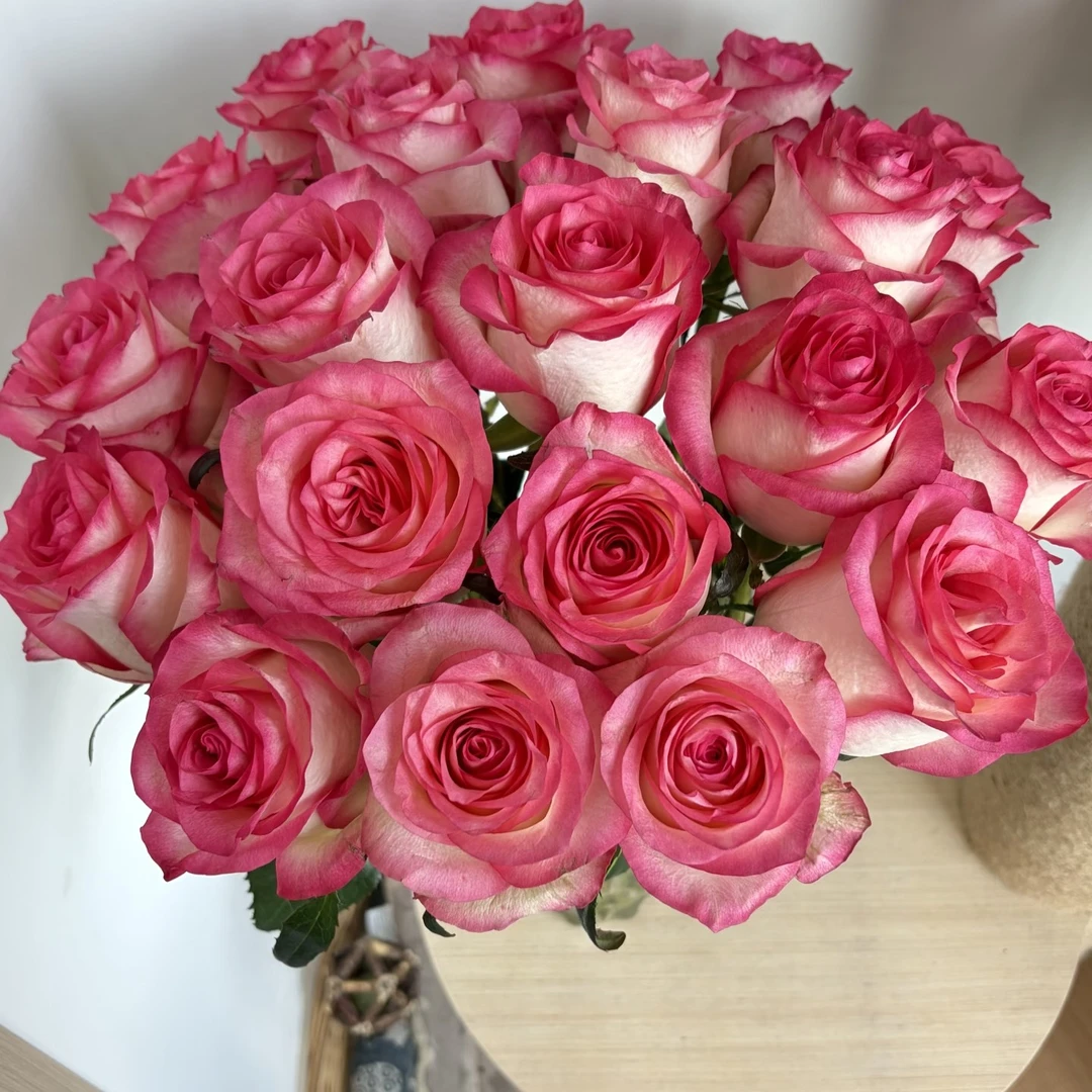 【工厂直发】艾莎公主鲜花玫瑰花