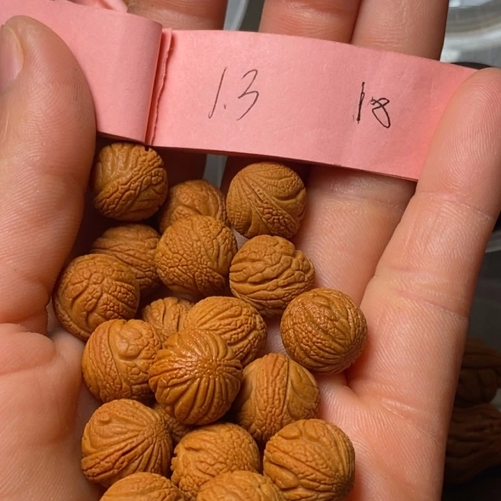 吊坠桃核陕西秦岭山桃核