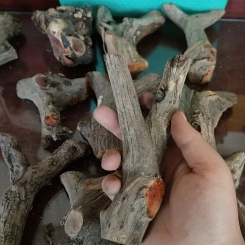 用***6核桃木/黑胡桃（胡桃木）