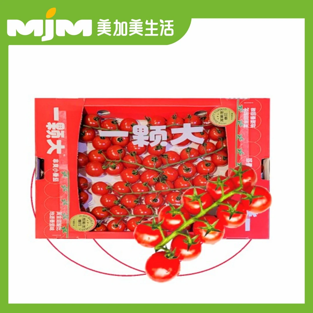 串收1颗大番茄小番茄礼盒（约2斤/件）番茄同城配番茄四川省