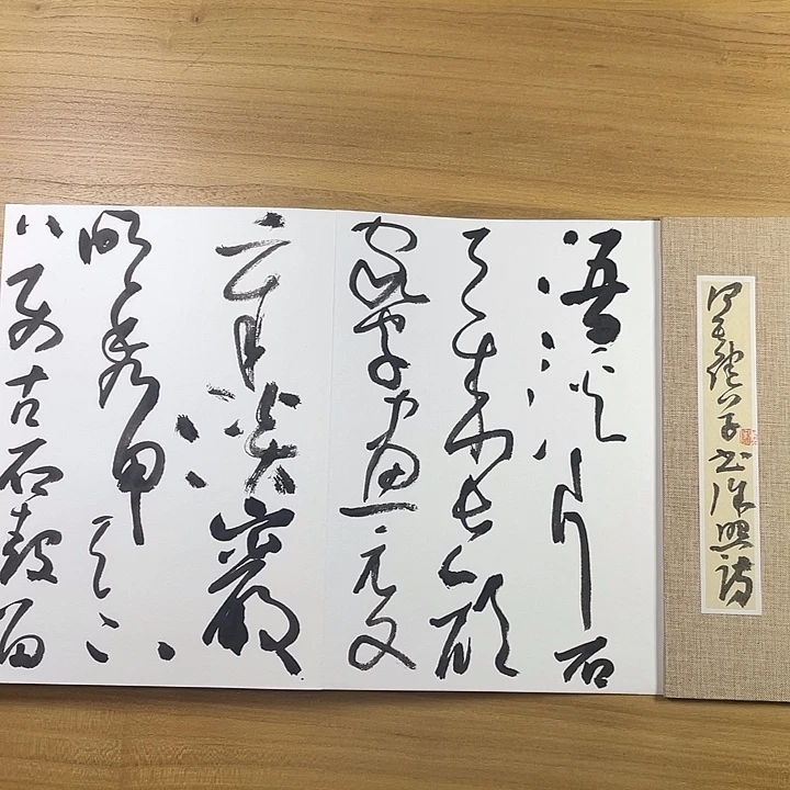 书法中书协会员作品