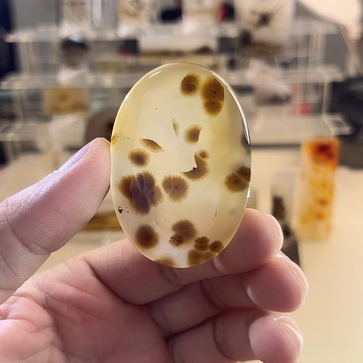 未镶嵌吊坠(不含链)玛瑙/玉髓