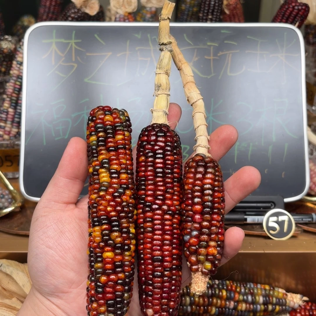 柏香籽/百香籽吊坠一***尽