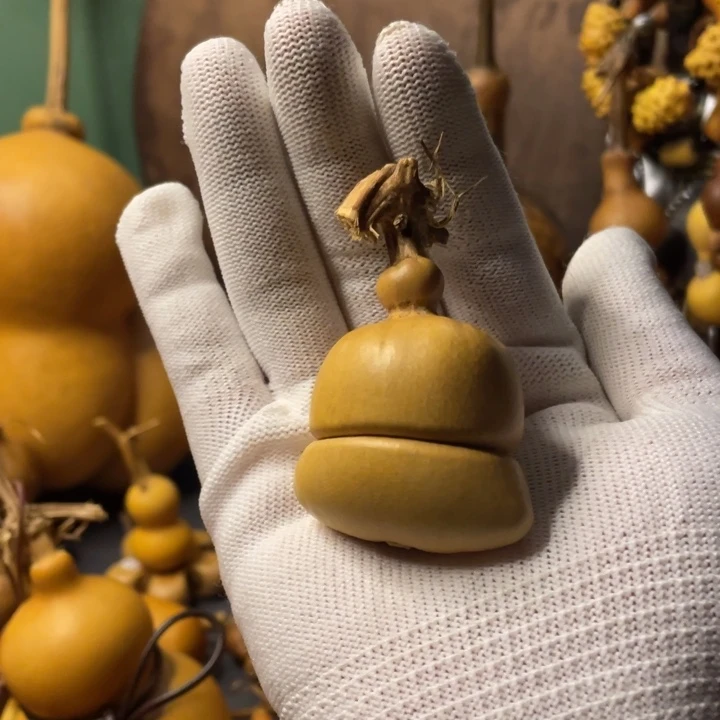 08 理性消费看好下单