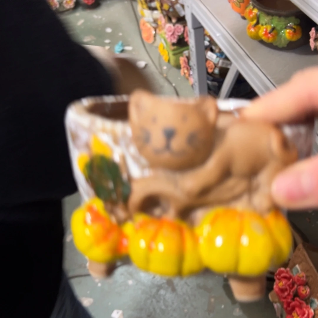 满18.8爱退拉黑多肉花盆