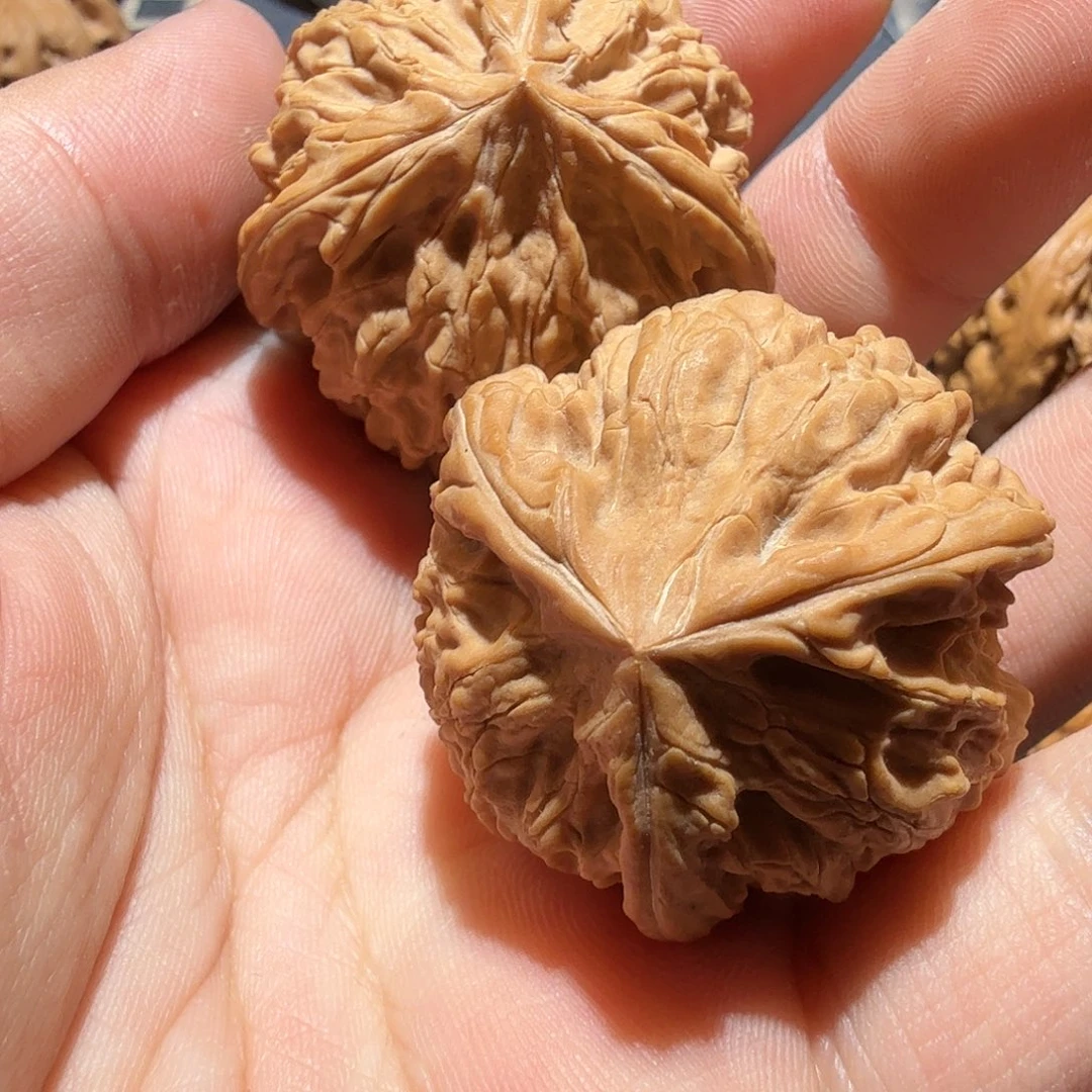 文玩核桃把件御龙正奔