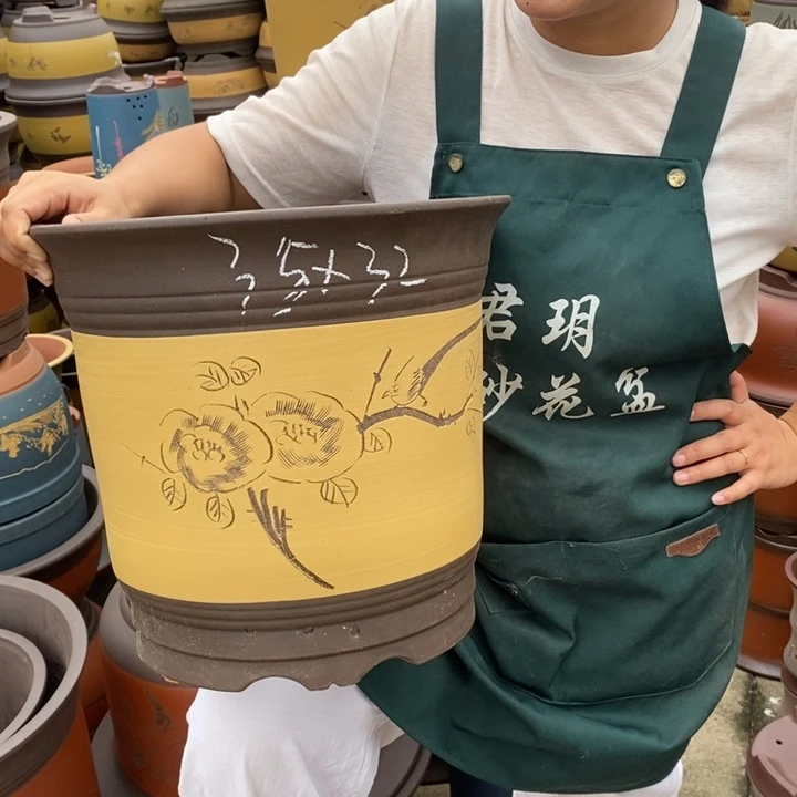 紫砂花盆盆栽植物花卉苗木种植