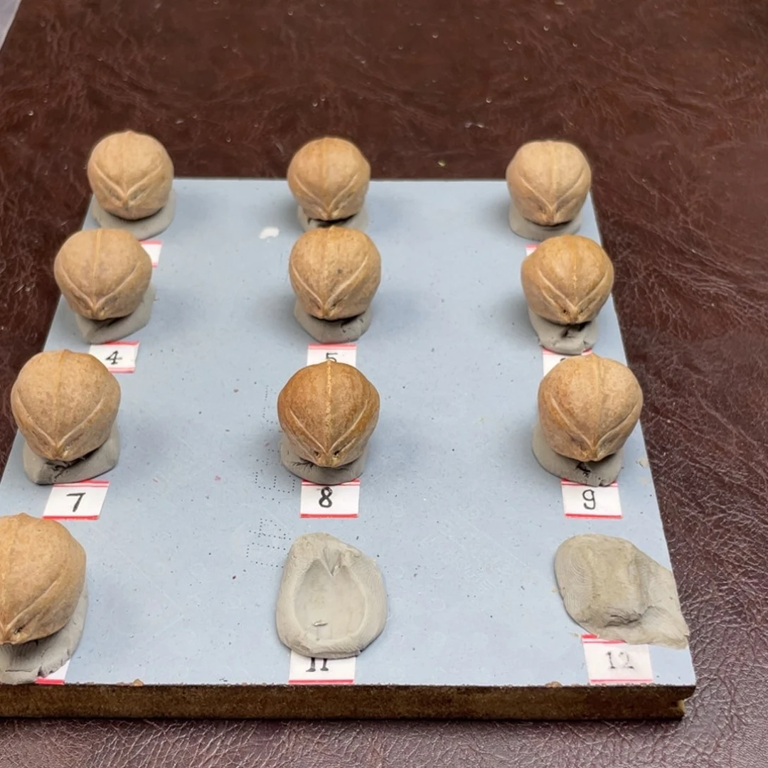 手串/手链橄榄核清**22.26梅林铁核