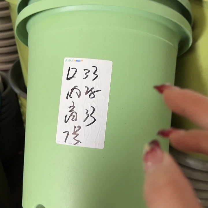 四季7号新绿色无托6个特价微瑕