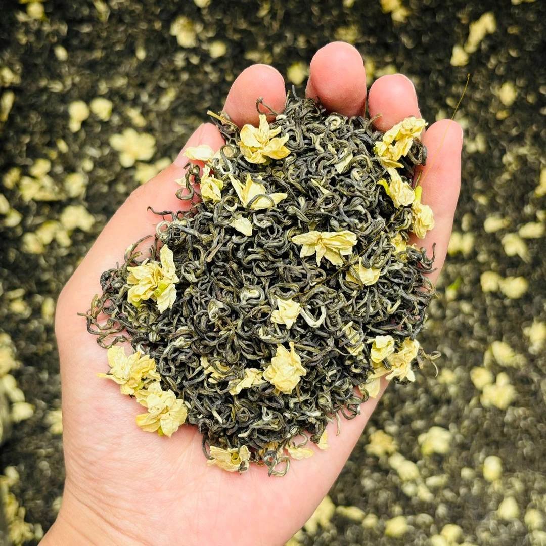 2025年新茶【茉莉香雪】茉莉飘雪川花川茶浓香耐泡香味足