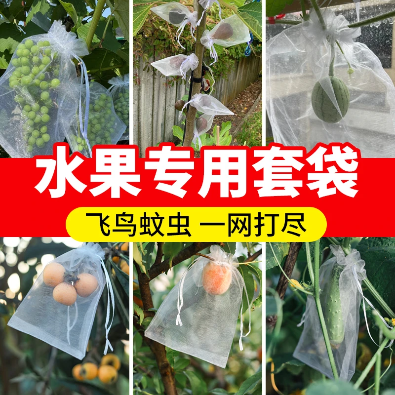 防虫专用防鸟水果网套袋纱网袋套袋葡萄透气套袋无花果番石榴套袋