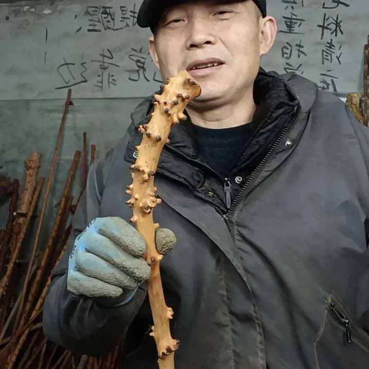 稳定木平*。贵州檬子木   铁马鞭   根艺  半成品