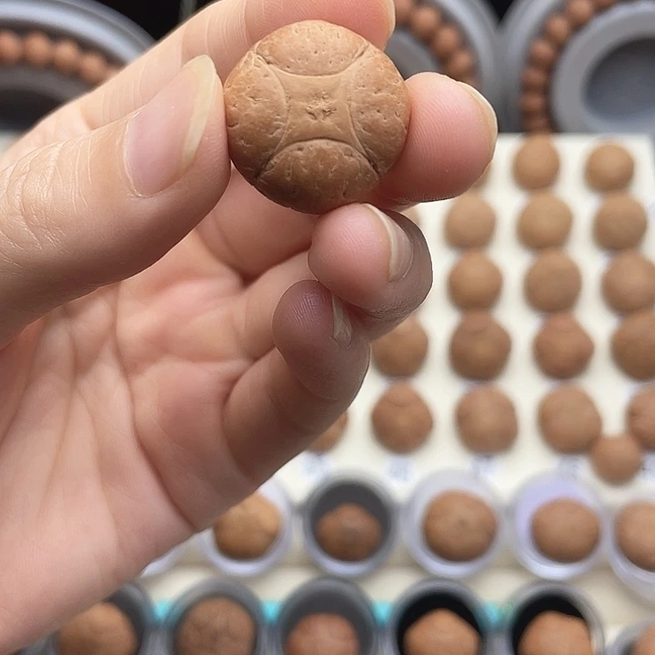 一***花吊坠凤眼菩提四星2号