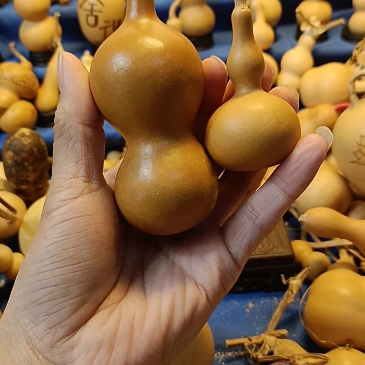 直播间专供链接葫芦