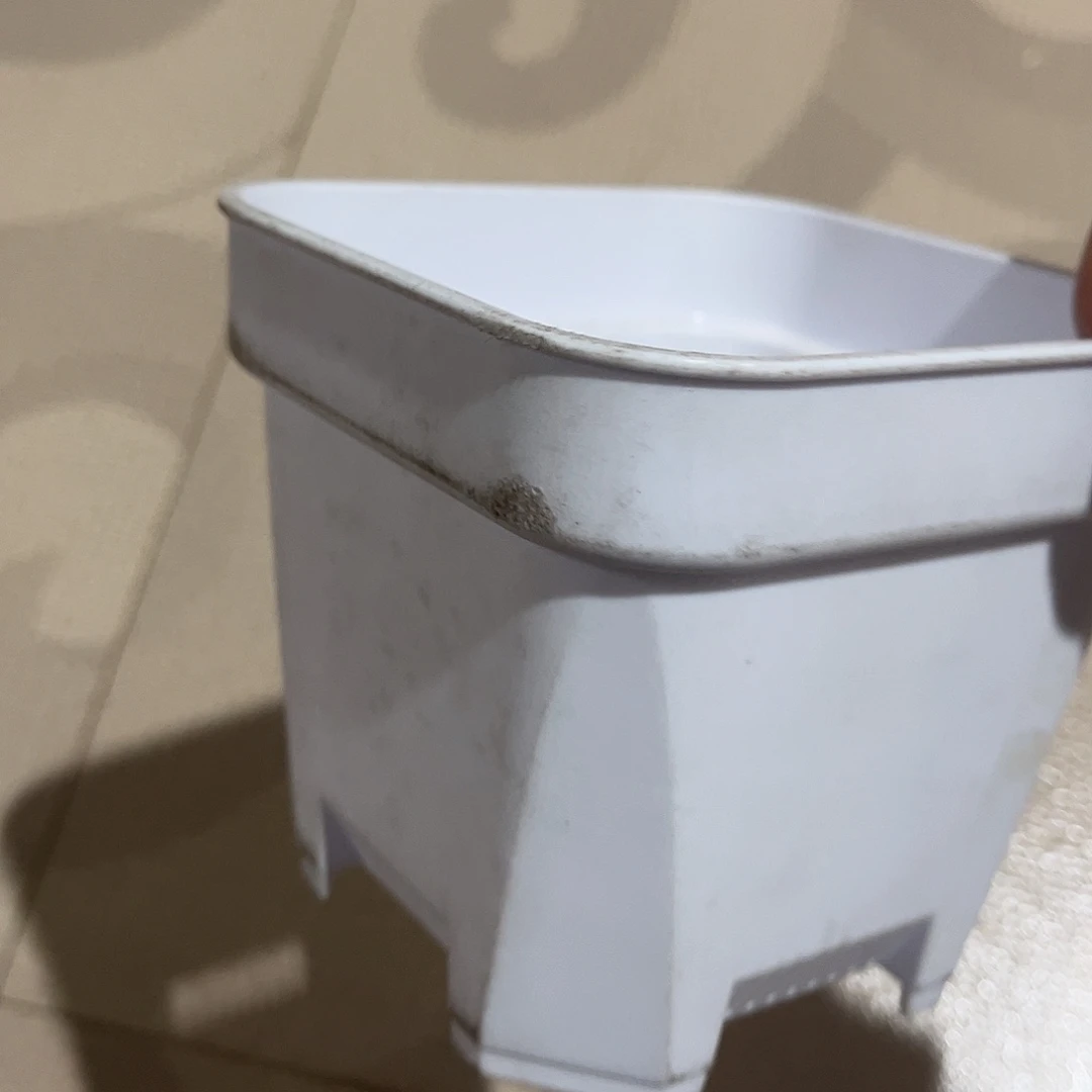 加厚矮胖口11.8高10.5白盆10个无托