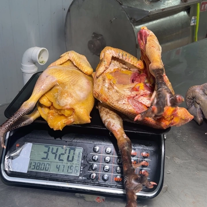一号土鸡食用农产品中国大陆S****晴
