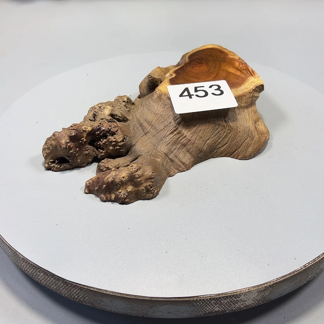 大果紫檀（缅甸花梨）?*