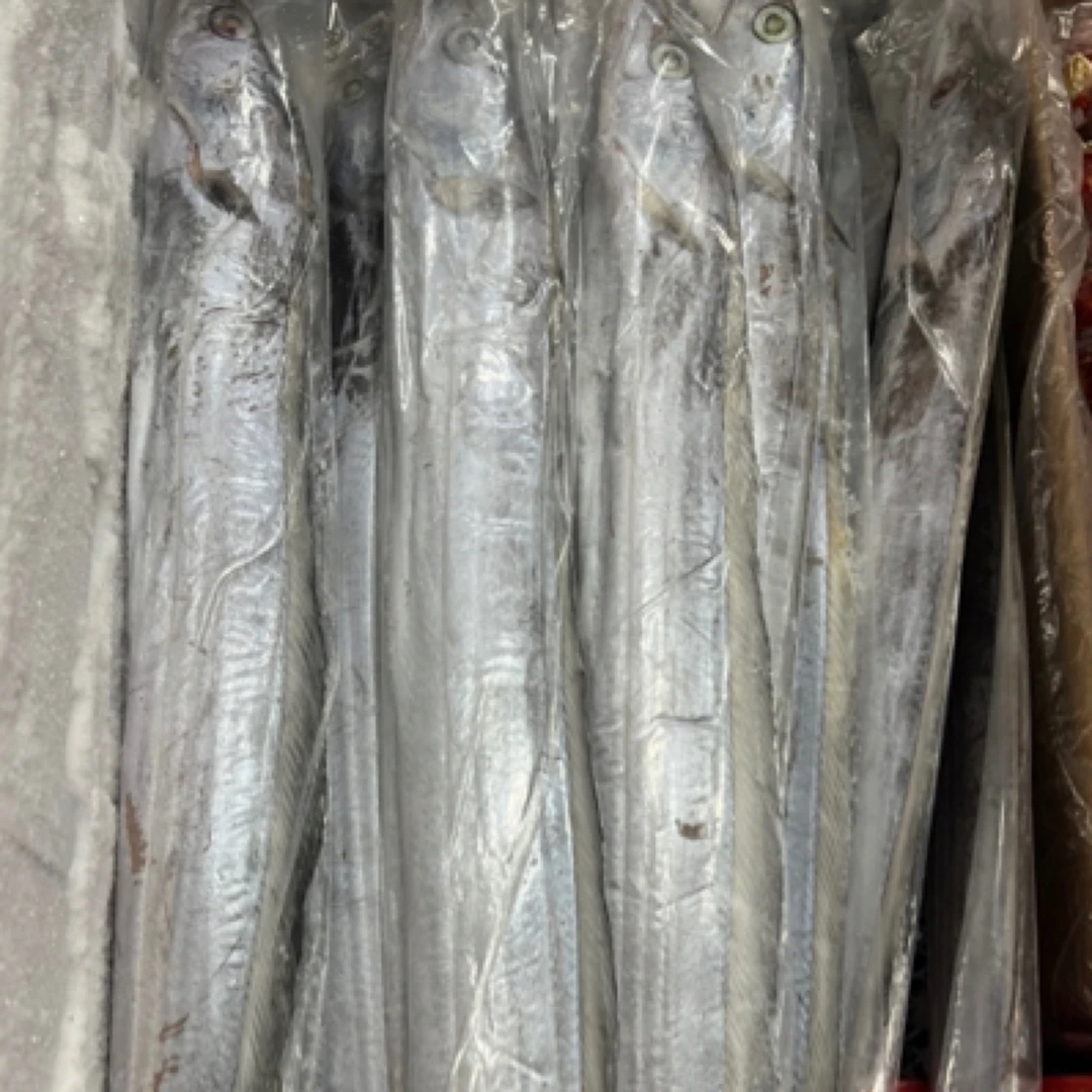 A级钓带，一条装，3指左右宽