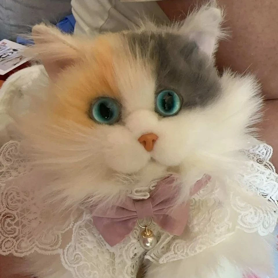 仿真三花猫玩偶可爱布偶猫背包毛绒公仔小猫咪娃娃女生玩具礼物