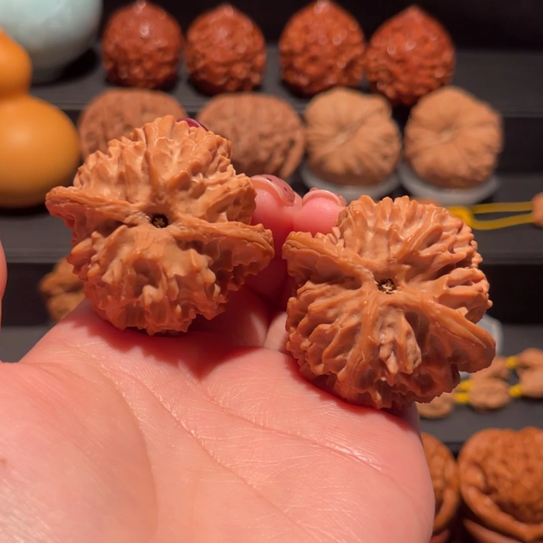 逗***生苹果园，老树，42精品