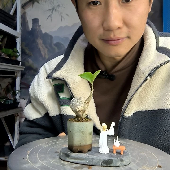 小***光中青园艺一物一拍120