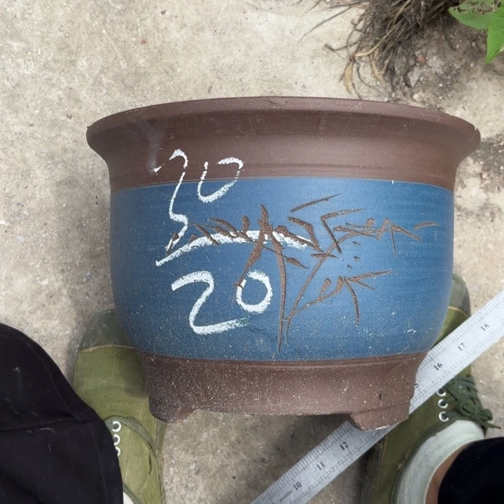 紫砂花盆紫砂的颜色