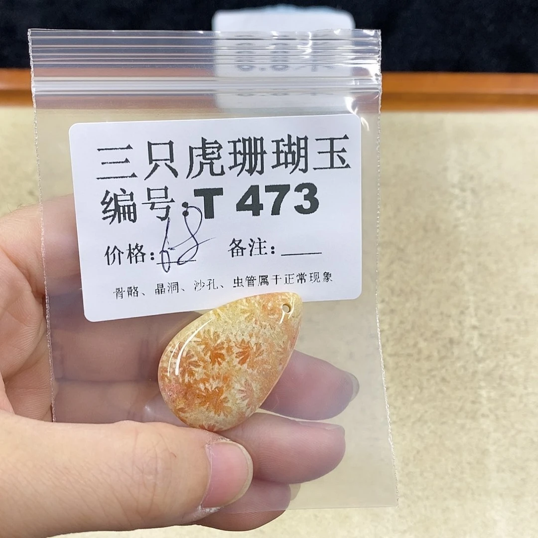 硅化珊瑚（珊瑚玉）1未镶嵌星**