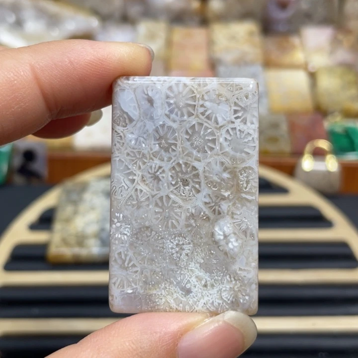 硅化玉未镶嵌颈饰k73