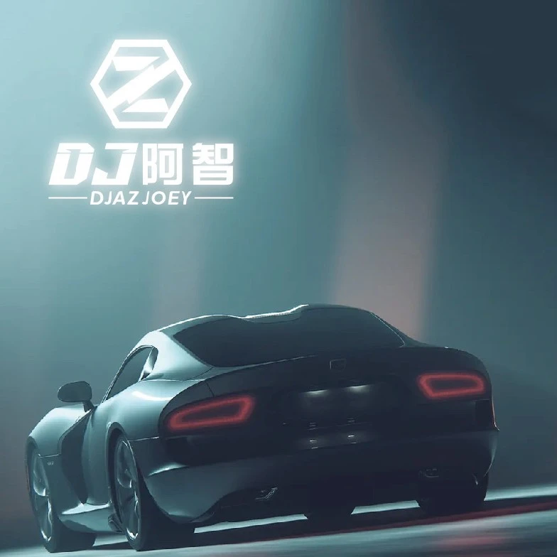 【DJ阿智全车通用】最新音乐合集