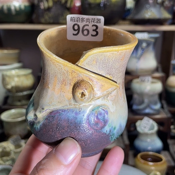 狼盆内口径6高度7