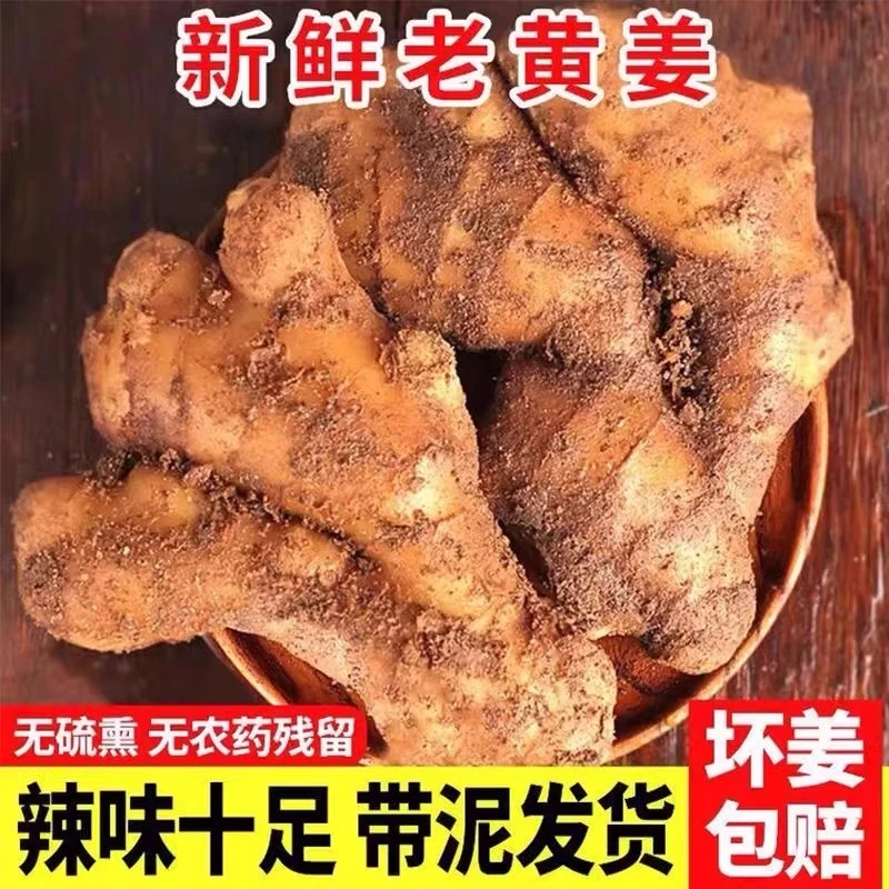 【南客果园】整箱老母姜新鲜现挖生姜辛辣浓香去腥调味