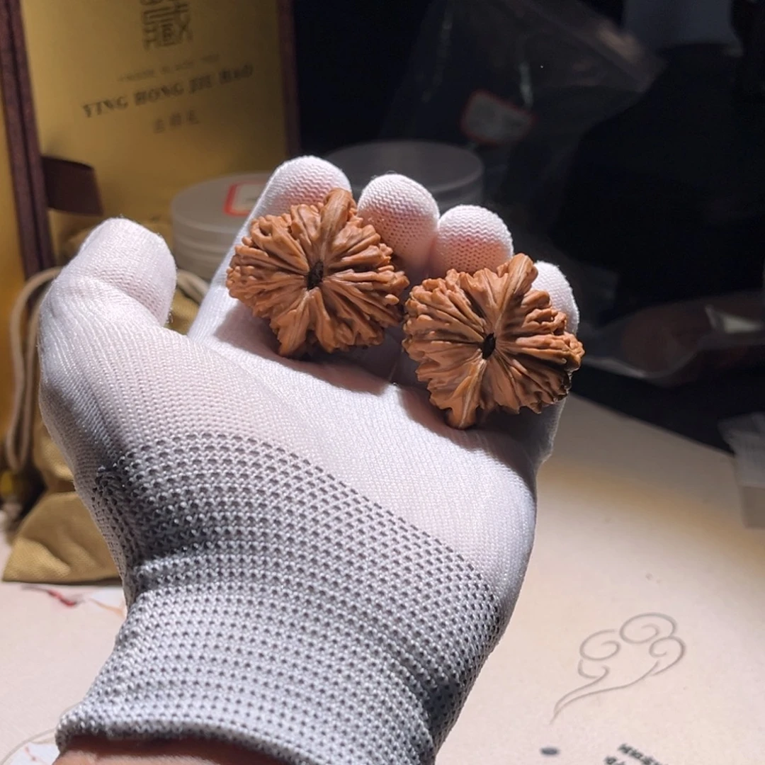 风***楼子楼子楼子楼子