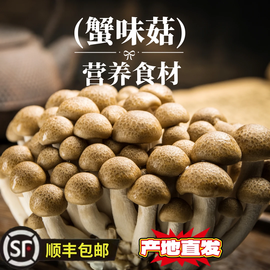 【顺丰包邮】精品蟹味菇蟹味鲜美口感光滑新鲜食用菌菌菇火锅食材