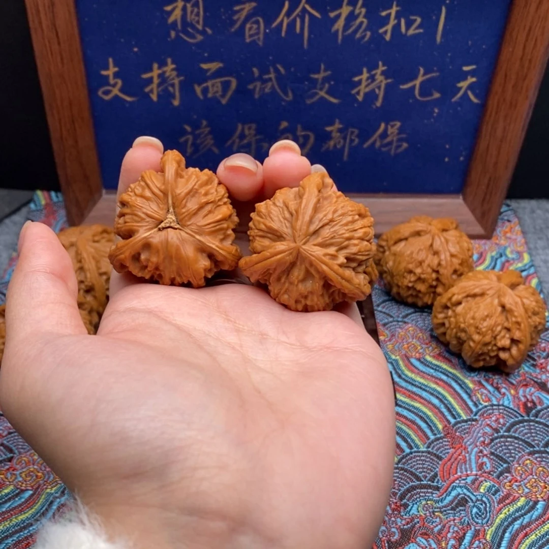 【闪购商品】马*桶白狮