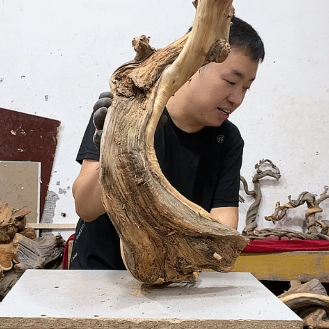 【闪购商品】柏木人**味我们都是好孩子