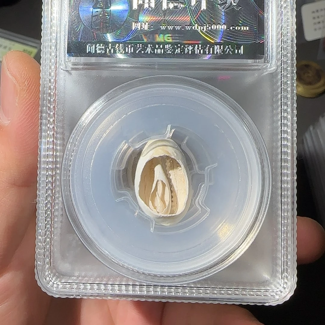 铜天然贝币同分择优发-山海