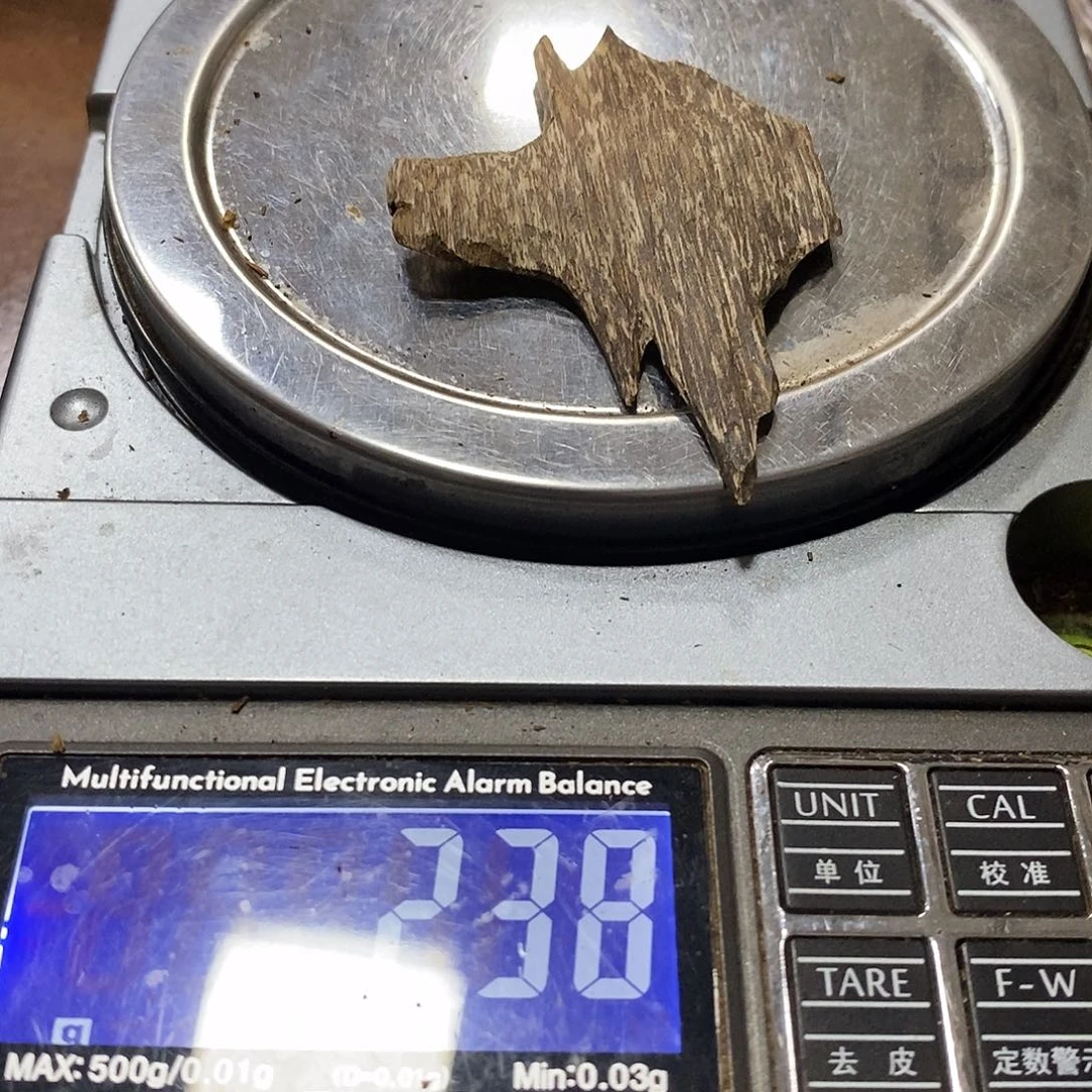 越南芽庄虫漏一块（福利623019