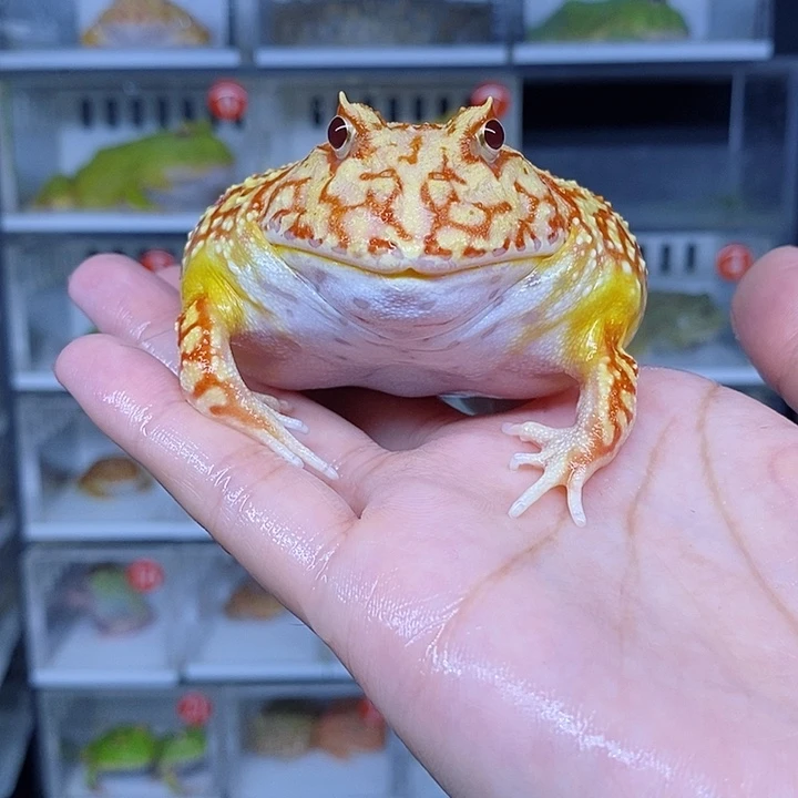 特价秒杀现货特价
